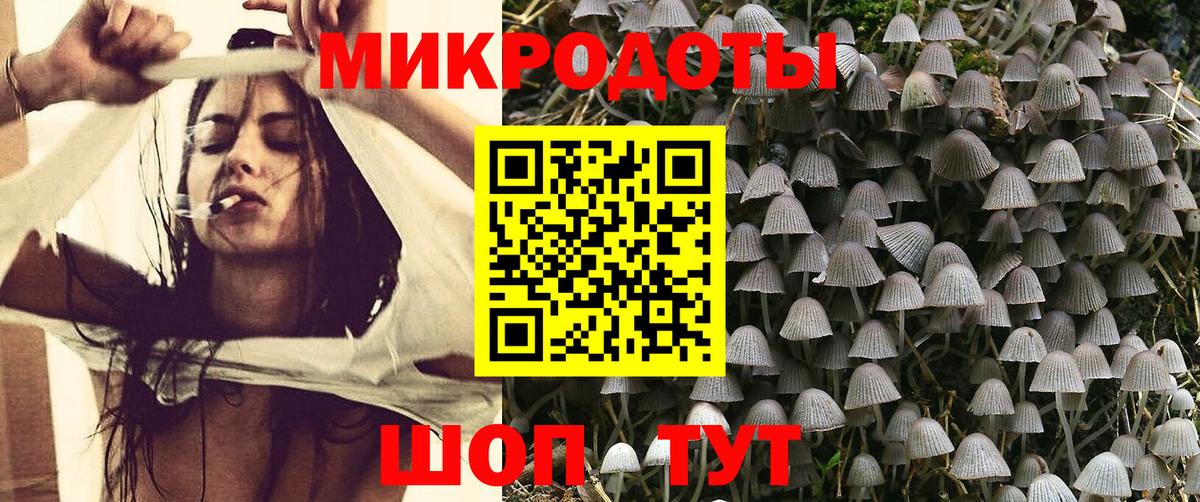 Псилоцибиновые грибы Psilocybine cubensis  Вход с VPN  Кимовск 